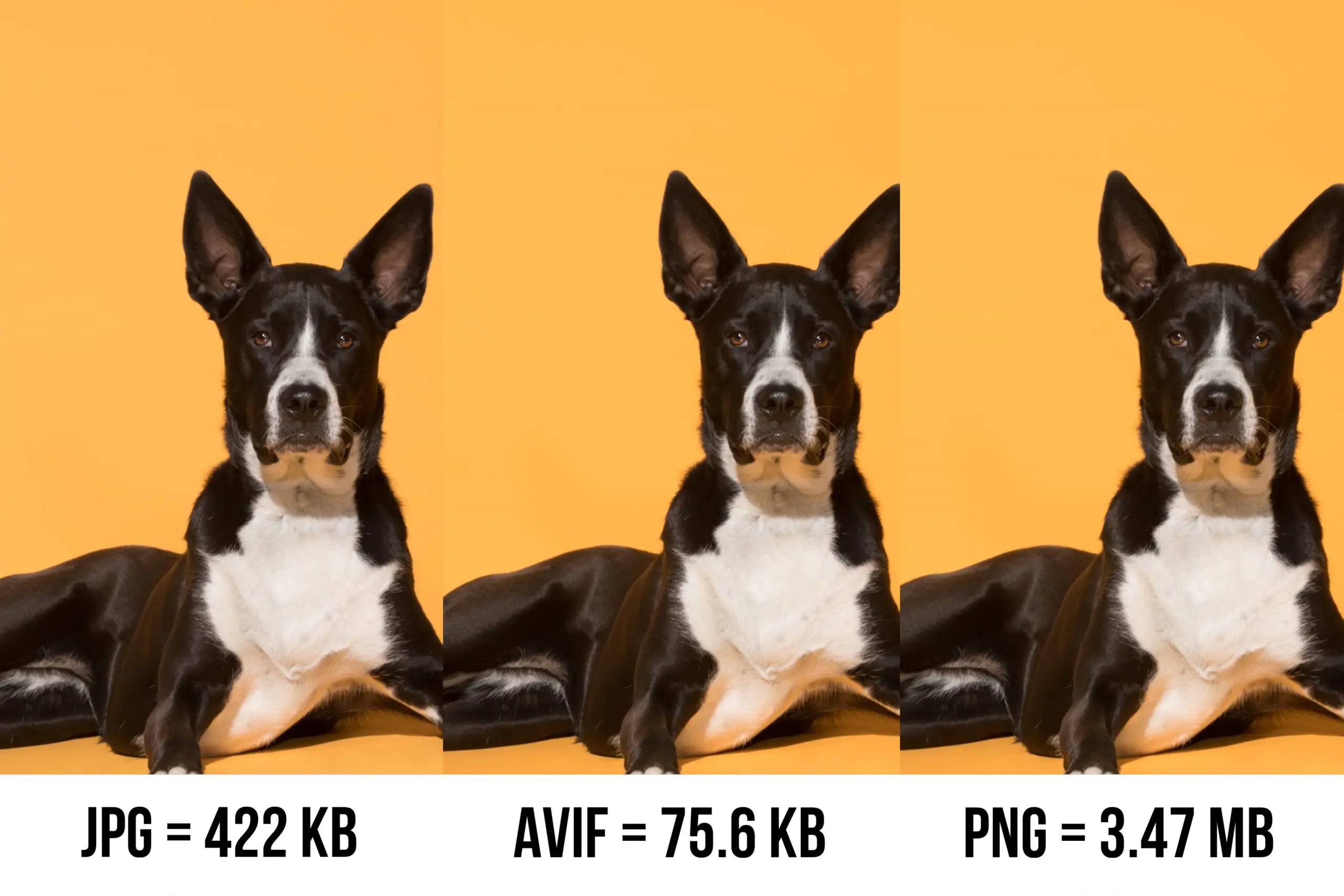 Size of the same image in different formats