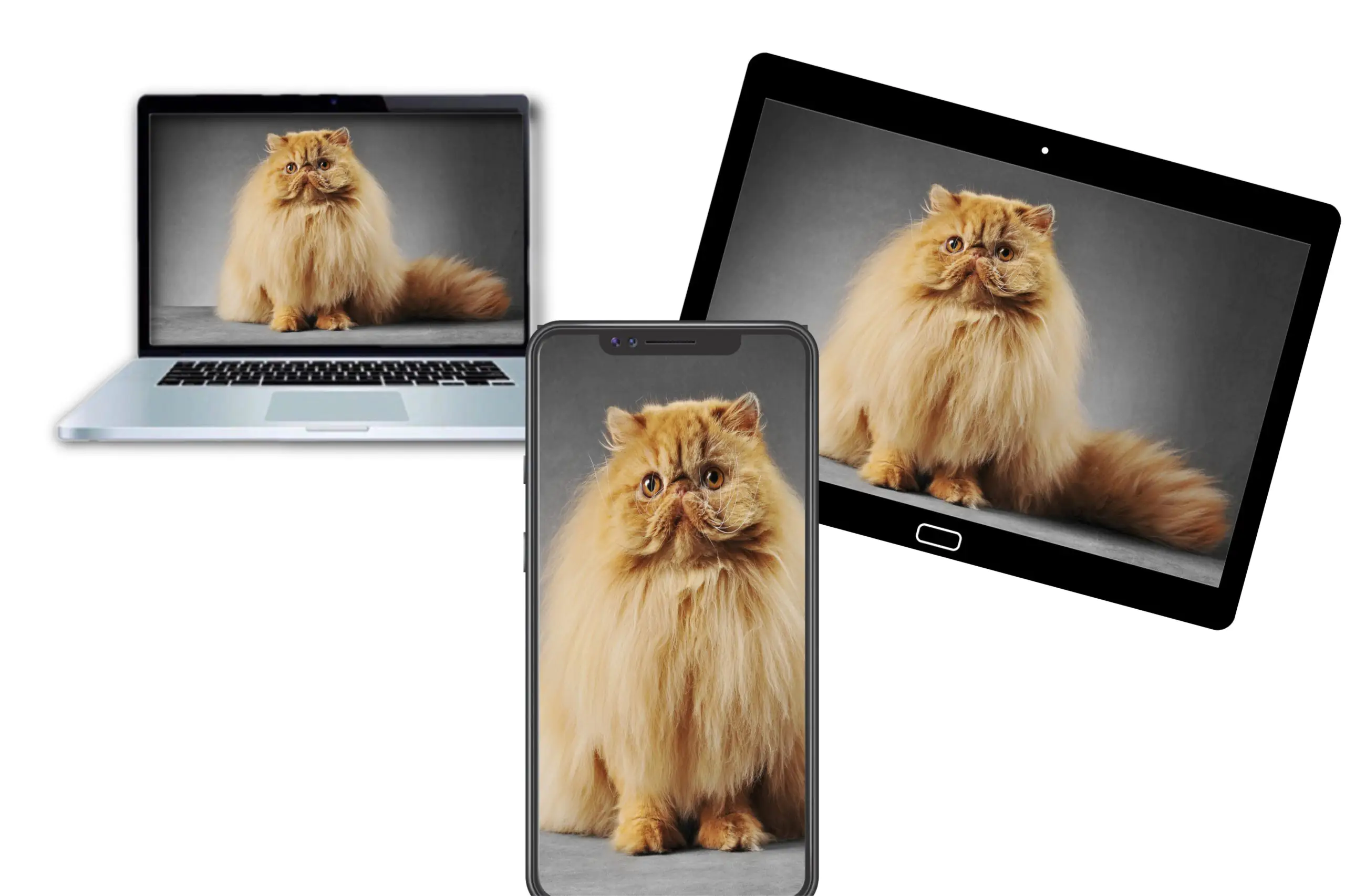 Your image should look good on different devices
