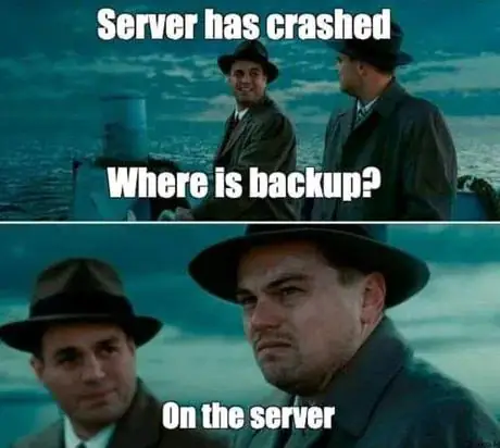 Meme with Leonardo DiCaprio about system backup